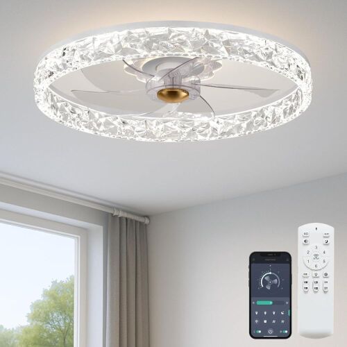 20'' Ceiling Fan with Light - Lot 258