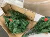 6' Unlit Artificial Green Spruce Christmas Tree, w/Easy Assembly - Thumbnail 2