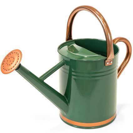 1-Gallon Galvanized Steel Watering Can w/ O-Ring, Top Handle - Lot 751