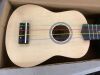 Everjoys Soprano Ukulele Beginner Pack-21 Inch - Thumbnail 3