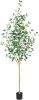 Artificial Eucalyptus Trees Indoor 7FT, Extra Tall Faux Eucalyptus Plant, Artificial Silk Tree Floor Plants for Home Bedroom Living Room - Thumbnail 1