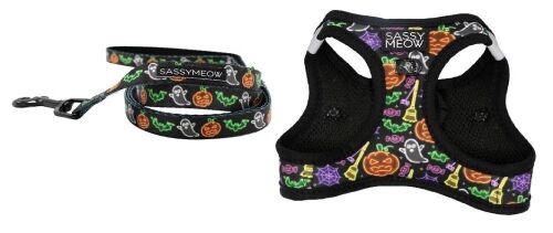 Sassy Meow Halloween Leash and Harness Set - Lot 9997