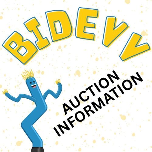 AUCTION INFORMATION - PLEASE READ! - Lot 1