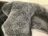 Fuzzy Rug, Approx 9 x 12 - Stains on Bottom - Thumbnail 2
