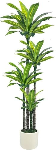 Artificial Dracaena Tree 6ft - Lot 158