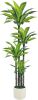 Artificial Dracaena Tree 6ft - Thumbnail 1