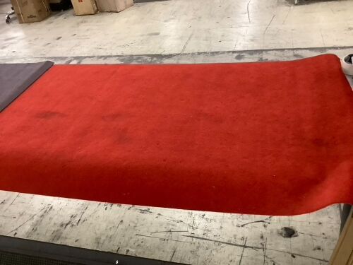 Red Aisle Runner Rug 3 x 10 - Lot 559