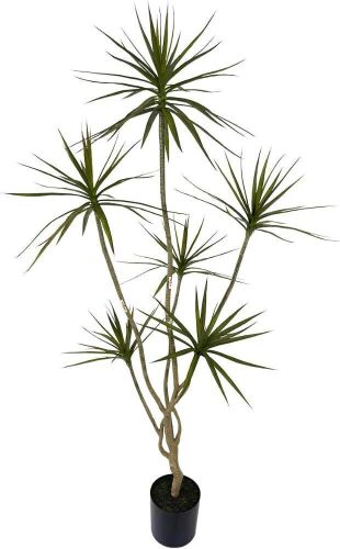 6' Artificial Dracaena Marginata Plant - Lot 165