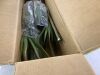 6' Artificial Dracaena Marginata Plant - Thumbnail 6