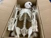 Crazy Bonez Original Pose-N-Stay Halloween Skeleton, 5 FT - Thumbnail 1