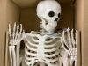 Crazy Bonez Original Pose-N-Stay Halloween Skeleton, 5 FT - Thumbnail 2