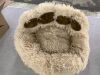 Paw Dog Bed - Thumbnail 3