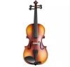 4/4 Full Size Violin Fiddle Set with Hard Case Rosin Bow Shoulder Rest Bridge Tuner and Extra Strings - Thumbnail 1