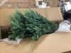 7.5' Pre-Lit Artificial Full Aspen Christmas Tree w/ 2-in-1 Micro LED Lights - Thumbnail 2