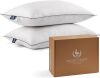 Pacific Coast Goose Feather and Down Pillows Queen Size, Set of 2 - Thumbnail 1