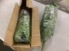 45" Artificial Ferns, 2 Pack - Thumbnail 2