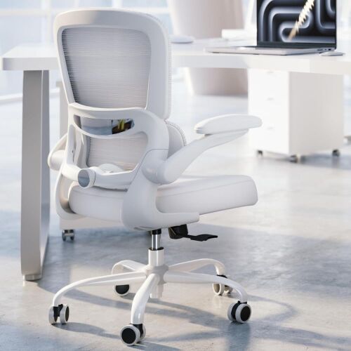 Ergonomic Desk Chair with Adjustable Lumbar Support - Lot 197