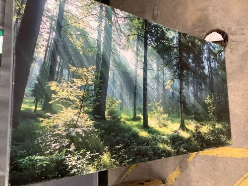 Canvas Wall Art Print Forest 59x20 in - Lot 1721