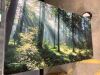 Canvas Wall Art Print Forest 59x20 in - Thumbnail 1