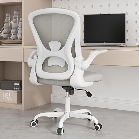 Sytas Ergonomic Desk Chair with Padded Flip up Arms and Supportive Lumbar Support, Breathable Mesh Home Office Chair with Comfortable Cushion for Home or Office(Gray) - Lot 1796