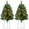 Set of 2 Pre-Lit Pathway Christmas Trees w/ Pine Cones, Timer - 24.5in - Thumbnail 1