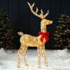 5ft Lighted 2D Christmas Buck Outdoor Yard Decoration w/ 105 LED Lights, Stake - Thumbnail 1