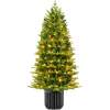 Pre-Lit Potted Christmas Tree w/Twinkling White & Multi LEDs - Thumbnail 1