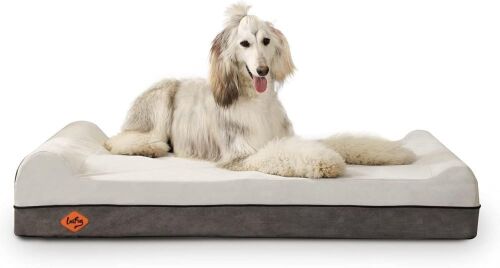 Orthopedic Memory Foam Dog Bed, 50" x 36" - Lot 254