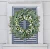 30 Inch Eucalyptus Wreath - Thumbnail 1