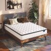 Vesgantti Queen 10 Inch Hybrid Pillow Top Mattress - Thumbnail 1