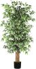 6ft Artificial Ficus Tree - Thumbnail 1