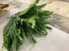 Artificial Fern - Thumbnail 3