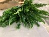 Artificial Fern - Thumbnail 4