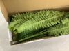 35" Artificial Boston Ferns, 2 Pack - Thumbnail 4