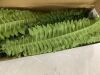 35" Artificial Boston Ferns, 2 Pack - Thumbnail 5