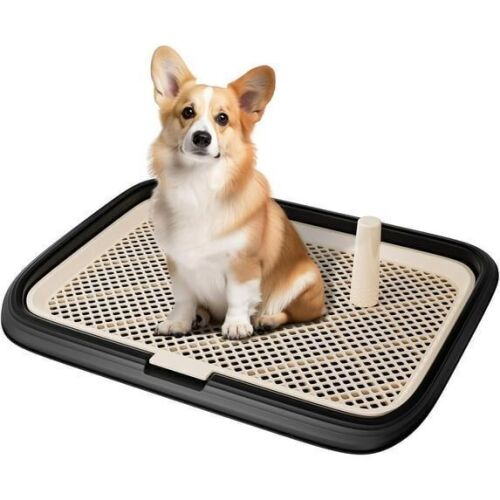 Indoor Dog Potty Tray, 23.6" x 17.7" - Lot 686