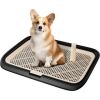 Indoor Dog Potty Tray, 23.6" x 17.7" - Thumbnail 1