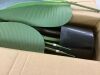 4 Ft Bird of Paradise Artificial Plant - Thumbnail 4