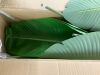 4 Ft Bird of Paradise Artificial Plant - Thumbnail 6