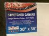 Stretched Canvas 30" x 36", 3 Pack - 1 Ripped - Thumbnail 4