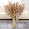 12 pcs Natural Pampas Grass Decor, 40" - Thumbnail 1