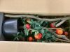 43" Artificial Pomegranate Tree - Thumbnail 3