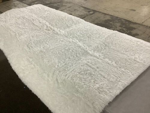 4' x 6' Area Rug - Lot 342