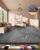 Ophanie Area Rugs for Living Room Bedroom, Upgrade Non-Slip Fluffy Soft Grey Shag Carpet - Thumbnail 1