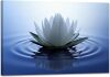White Lotus Wall Art Canvas Pictures Print Spiritual Meditation Artwork - Thumbnail 1