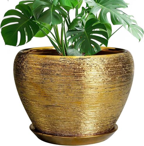 Ceramic 10 Inch Indoor Plant Pot with Drainage Hole and Saucer - Lot 610
