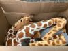 Stuffed Animal Giraffe - Thumbnail 2