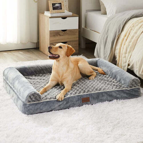 Foam Orthopedic Dog Bed - Lot 2751
