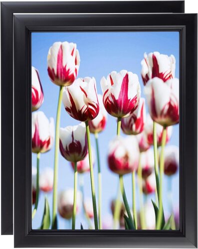 20x20 Inch Black Picture Frame, 2 - Pack - Lot 3012