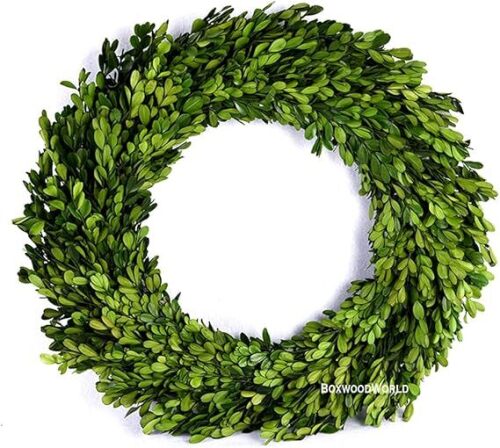 Boxwood Wreath Large 17 inch Preserved Nature Real Boxwood Wreath Home Decor Stay Fresh for Years Wreath for Christmas Thanksgiving Wedding Party Home Indoor Decor - Lot 3101